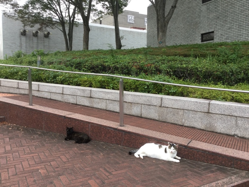 a0027290_18434367.jpeg