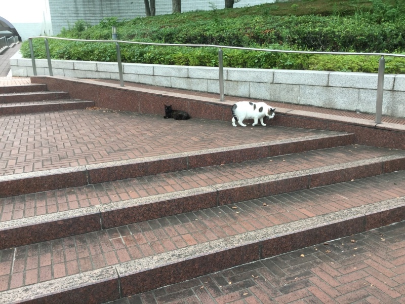 a0027290_18510147.jpeg
