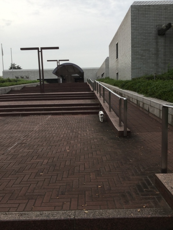 a0027290_18544703.jpeg