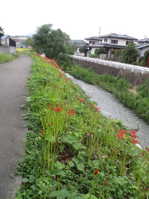 d0333091_1855827.jpg