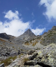 c0151898_8535829.jpg
