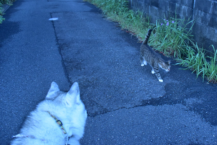 c0049299_22105650.jpg