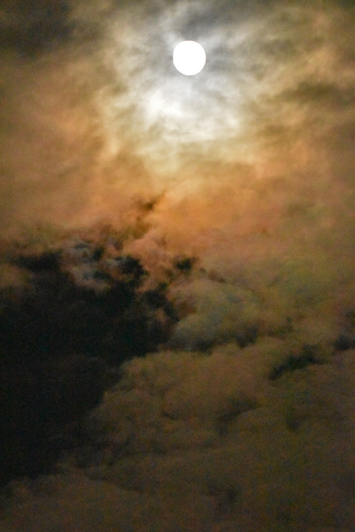 c0049299_22324262.jpg