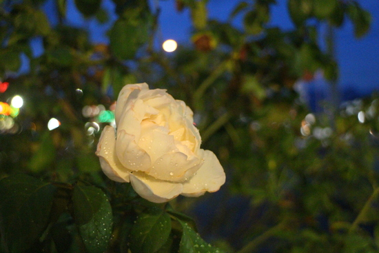 b0232804_9144262.jpg