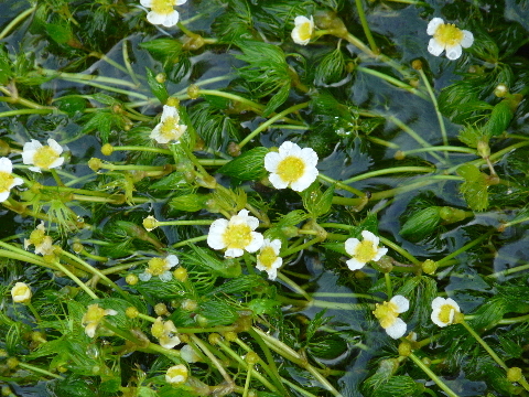 a0188405_22470425.jpg