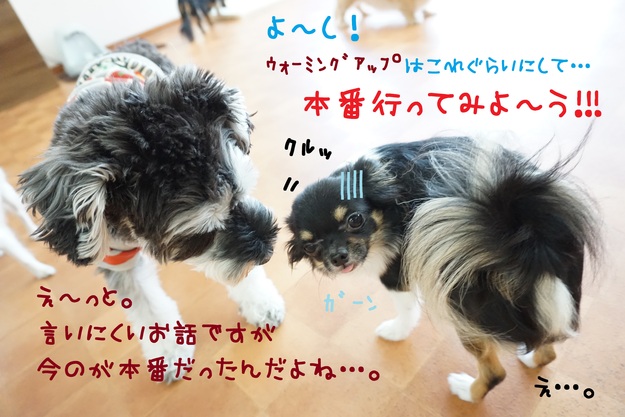 d0220513_14581350.jpg
