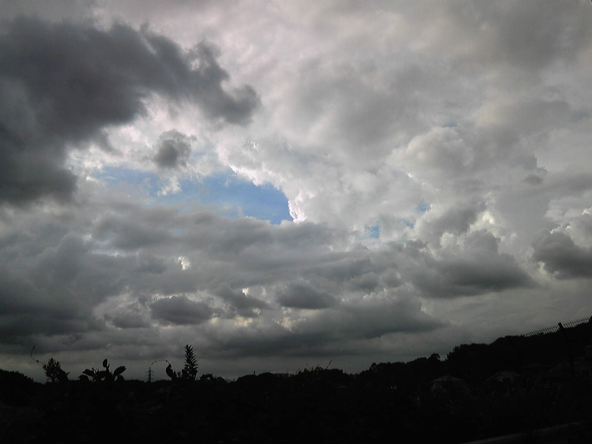 b0285619_08181945.jpg