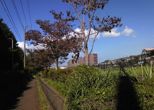 b0285619_08190365.jpg