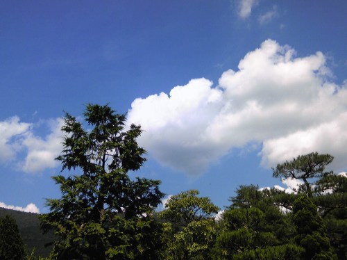 b0285619_08194523.jpg