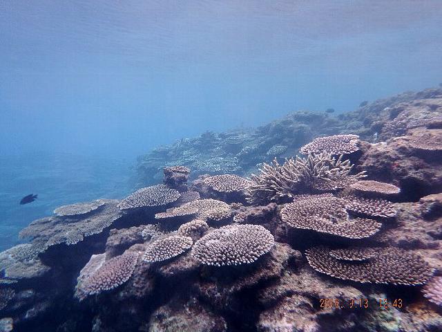 d0342920_742262.jpg