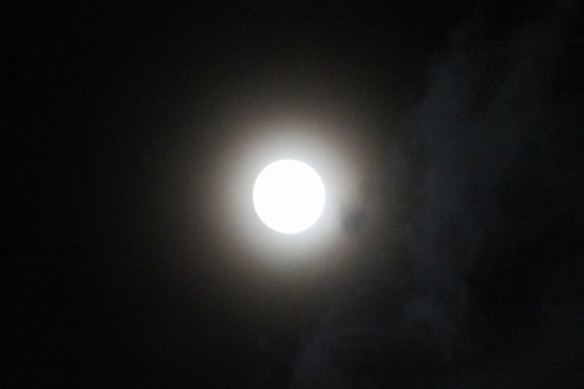 f0084422_13133071.jpg