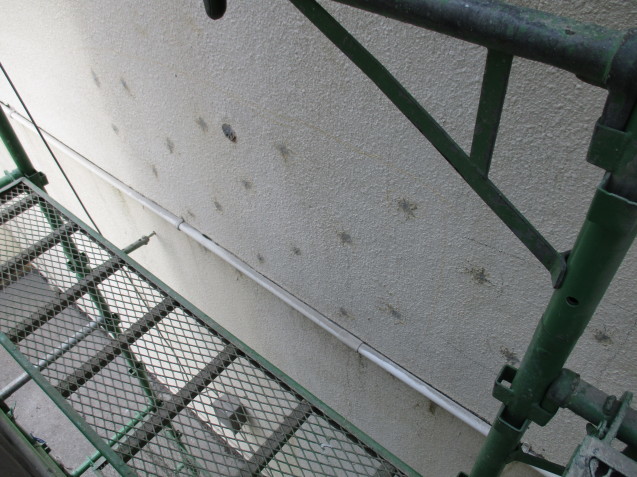c0280729_11012105.jpg