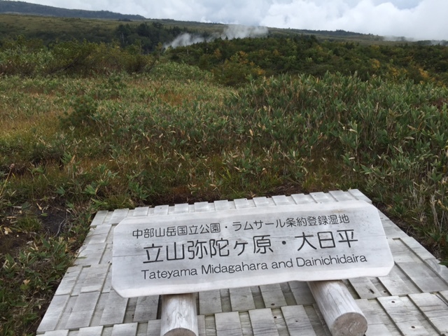 a0119132_17403404.jpg
