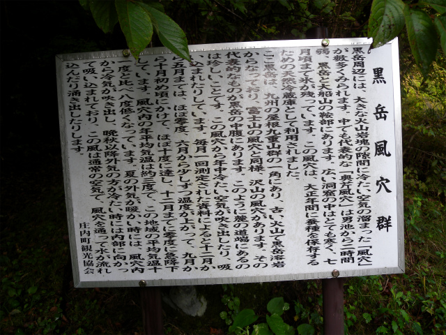 e0272335_19445016.jpg