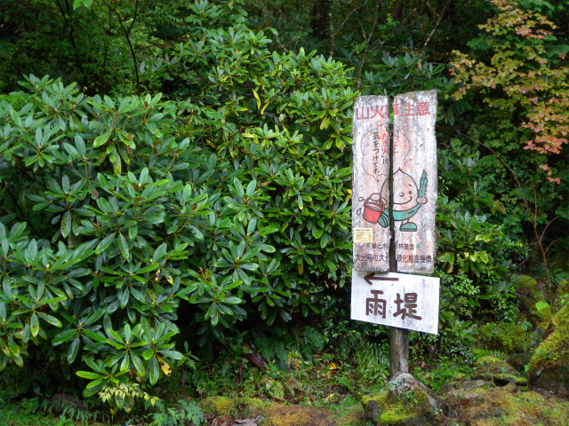 e0272335_201121.jpg