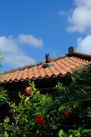 c0148238_20581944.jpg