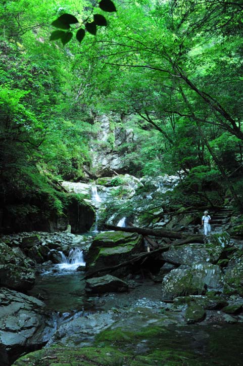 b0075541_13393187.jpg