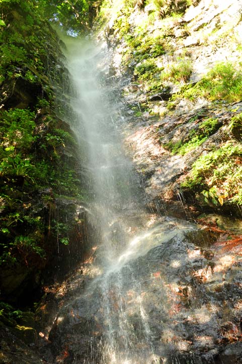 b0075541_13493544.jpg