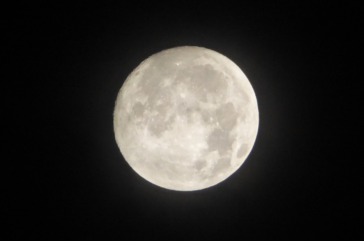 d0288144_11454355.jpg
