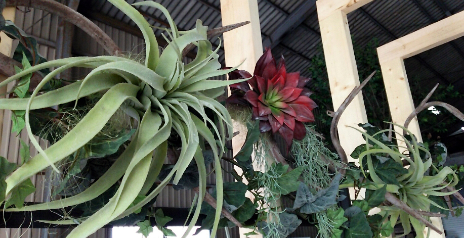 a0253649_17413569.jpg