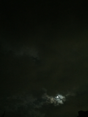 e0217950_629189.jpg