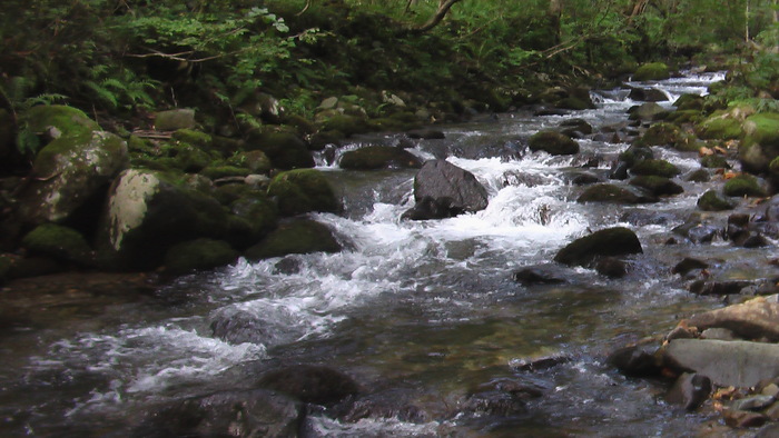b0208961_1616081.jpg