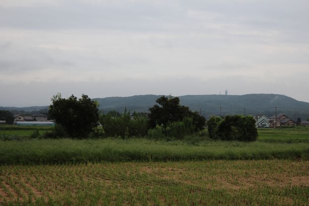 e0232963_1511318.jpg