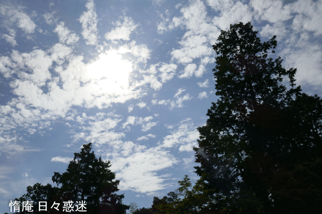e0346064_19404715.gif