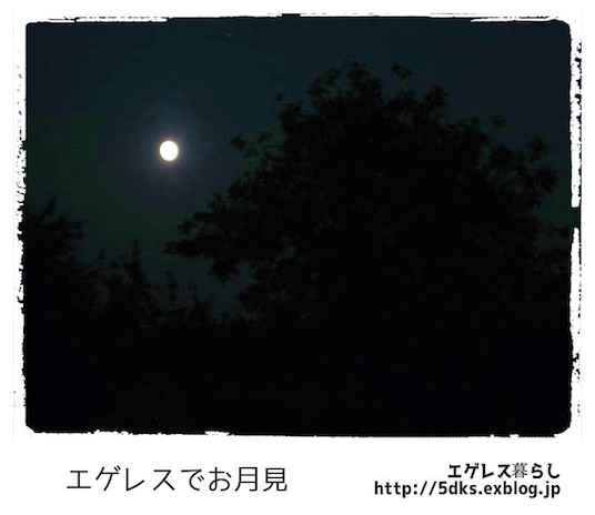 b0299665_4554166.jpg