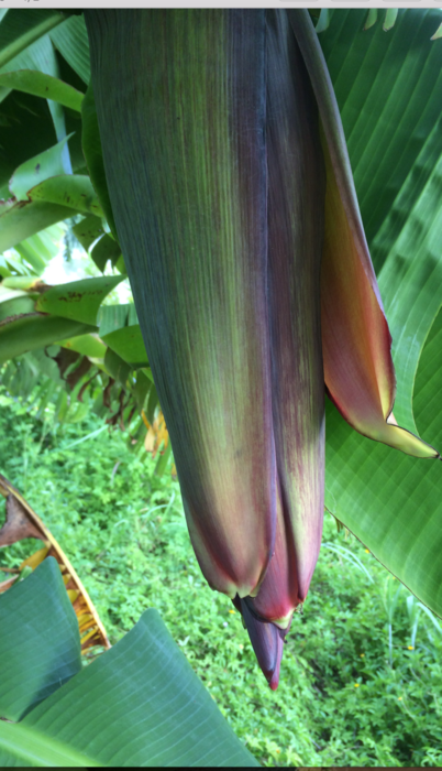 c0075365_8203261.png