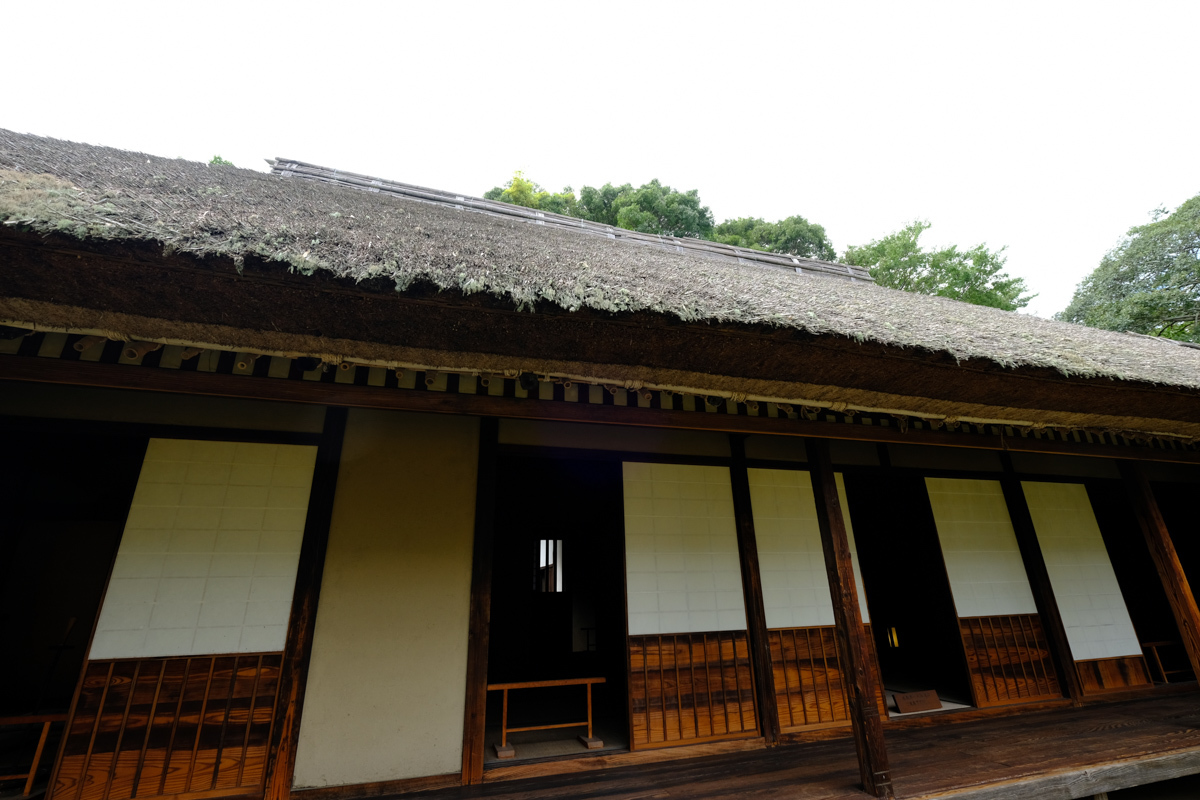 c0084666_21324000.jpg