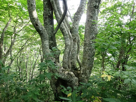 f0302771_1542073.jpg