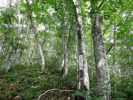 f0302771_154317.jpg