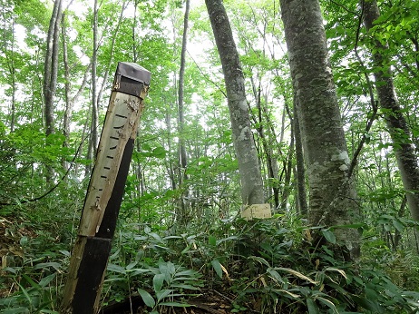 f0302771_154441.jpg