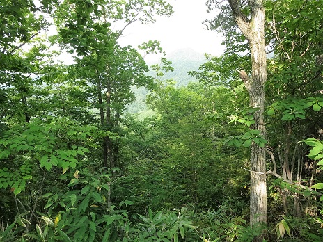 f0302771_15479.jpg