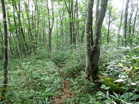 f0302771_155179.jpg