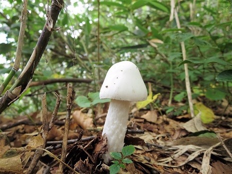 f0302771_155189.jpg