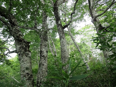 f0302771_1553524.jpg