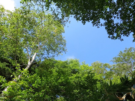 f0302771_1562744.jpg
