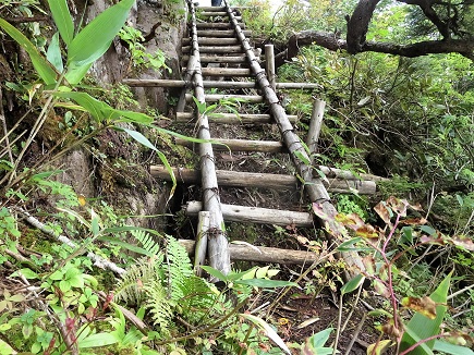 f0302771_1571225.jpg
