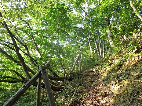 f0302771_1712289.jpg