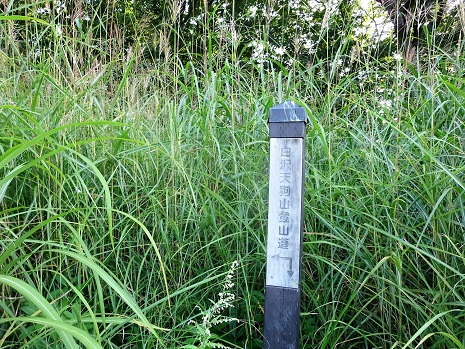 f0302771_171840.jpg