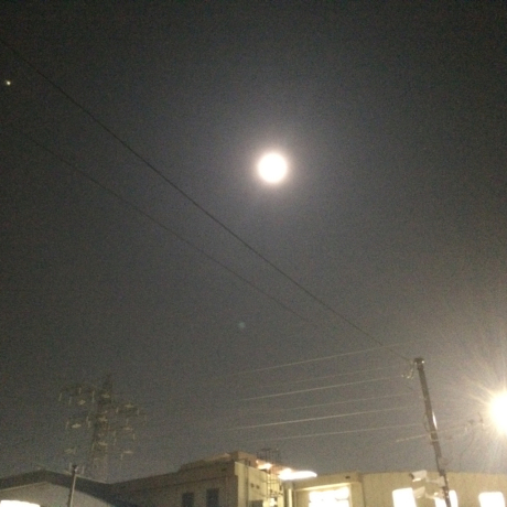 c0206177_22173321.jpg