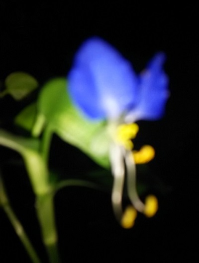 d0081485_16114962.jpg