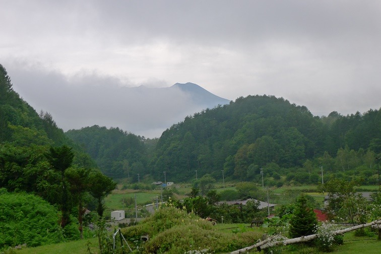 a0130586_845989.jpg