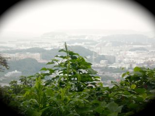 c0149195_2320204.jpg
