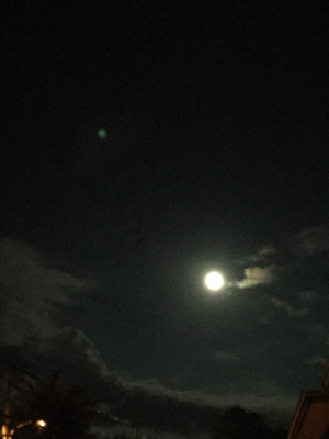 b0113698_07501271.jpg