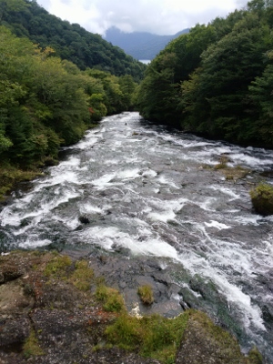 b0040606_21443210.jpg