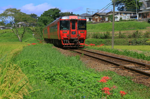 b0014607_2142279.jpg