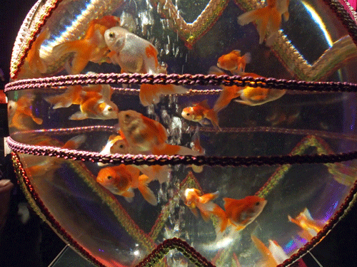 e0312121_11352334.gif